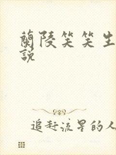 兰陵笑笑生的小说