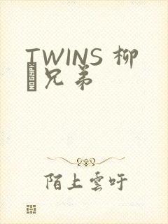 TWINS 柳澤兄弟