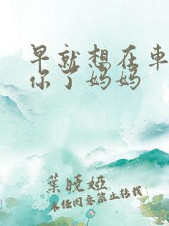 早就想在车里要你了妈妈