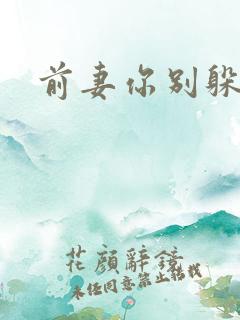前妻你别躲