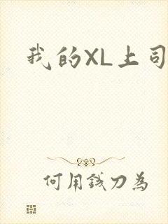 我的XL上司