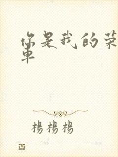 你是我的荣耀肉车