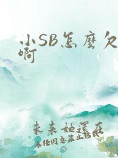 小SB怎么欠C啊