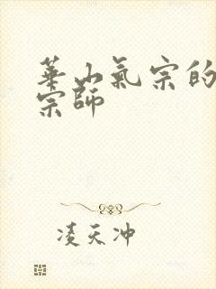 华山气宗的形意宗师