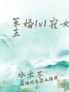 军婚1v1宠女主