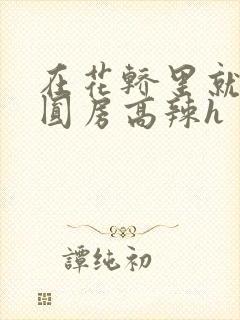 在花轿里就开始圆房高辣h