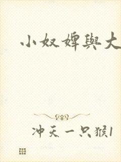 小奴婢与大少爷