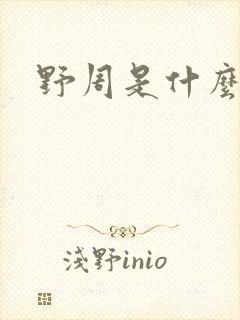 野周是什么意思