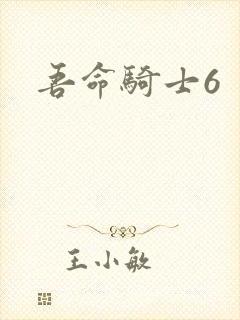 吾命骑士6