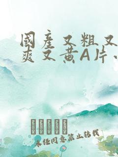 国产又粗又猛又爽又黄A片小说