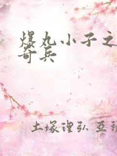 爆丸小子之圣石奇兵