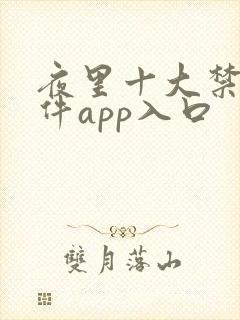 夜里十大禁用软件app入口