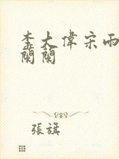 李大伟宋雨睛孙兰兰