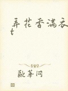 弄花香满衣txt