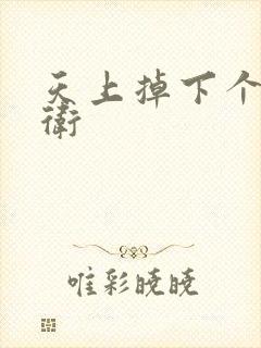 天上掉下个影卫卫