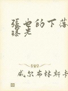 张也的下落终于曝光