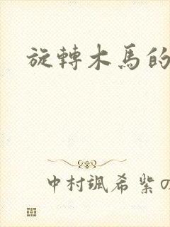 旋转木马的鏖战