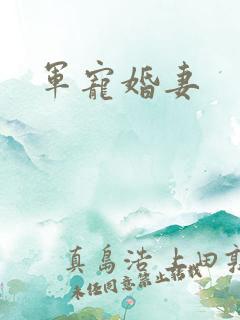 军宠婚妻