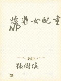 炉鼎女配重生之NP