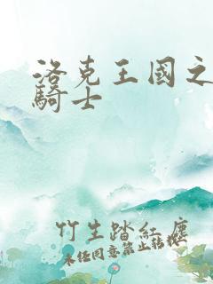 洛克王国之圣龙骑士