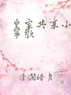 皇家共享小公主宁欢