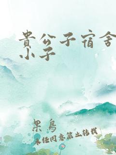 贵公子宿舍的假小子