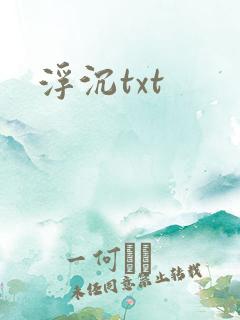 浮沉txt