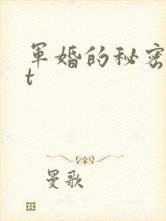 军婚的秘密txt