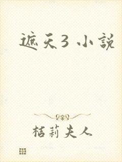 遮天3 小说