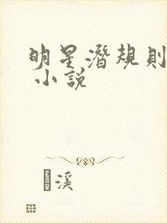 明星潜规则之皇 小说