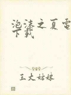 泡沫之夏电视剧下载