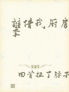 谁借我厨房第三季