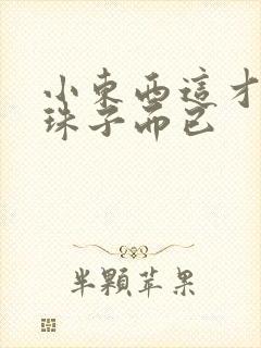 小东西这才一颗珠子而已