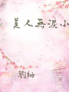 美人无泪小说