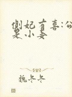 侧妃有喜:公主是小妾