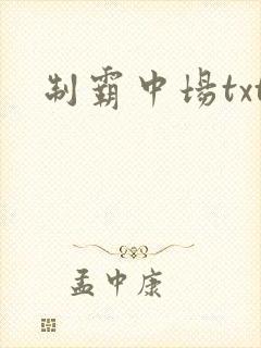 制霸中场txt