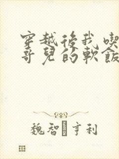 穿越后我吃到了哥儿的软饭炉山灰