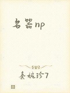 名器np