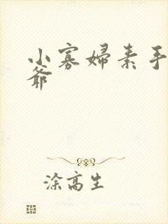 小寡妇素手擒四爷