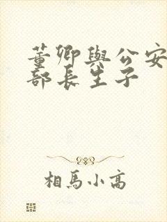 董卿与公安部副部长生子