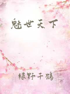 魅世天下