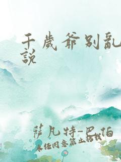 千岁爷别乱来小说