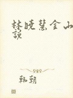 林晓慧金山的小说
