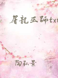屠龙巫师txt