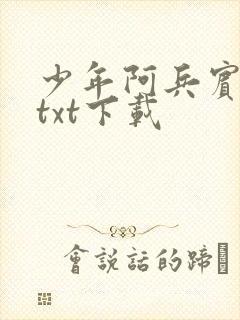 少年阿兵宾小说txt下载
