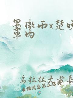 墨微雨x楚晚宁车肉