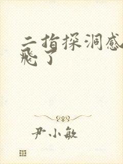 二指探洞感觉要飞了