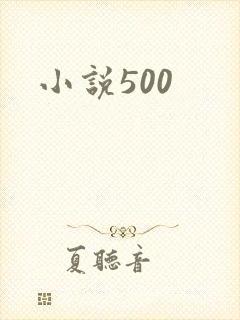 小说500