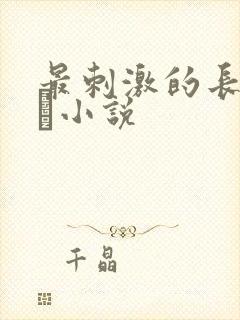 最刺激的长篇乱惀小说