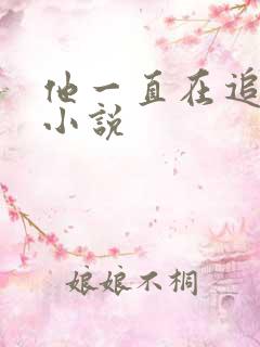 他一直在追初恋小说